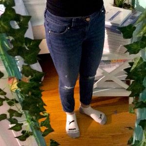 White House Black Market Skim Jeans